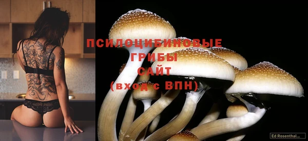 первитин Балахна