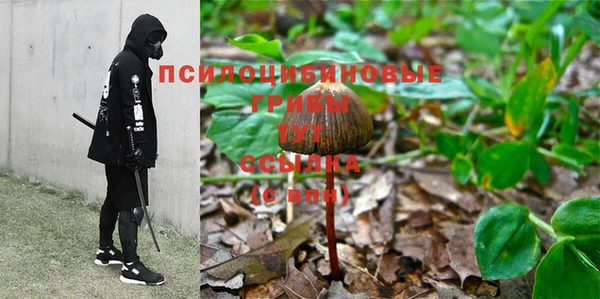 первитин Балахна
