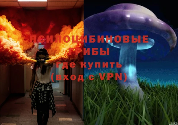 дурь Баксан